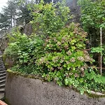 A Casa Di Giulia Rocchetta di Vara
