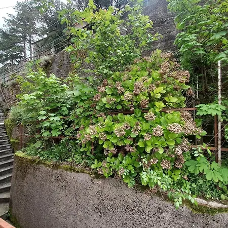 A Casa Di Giulia Vezzola